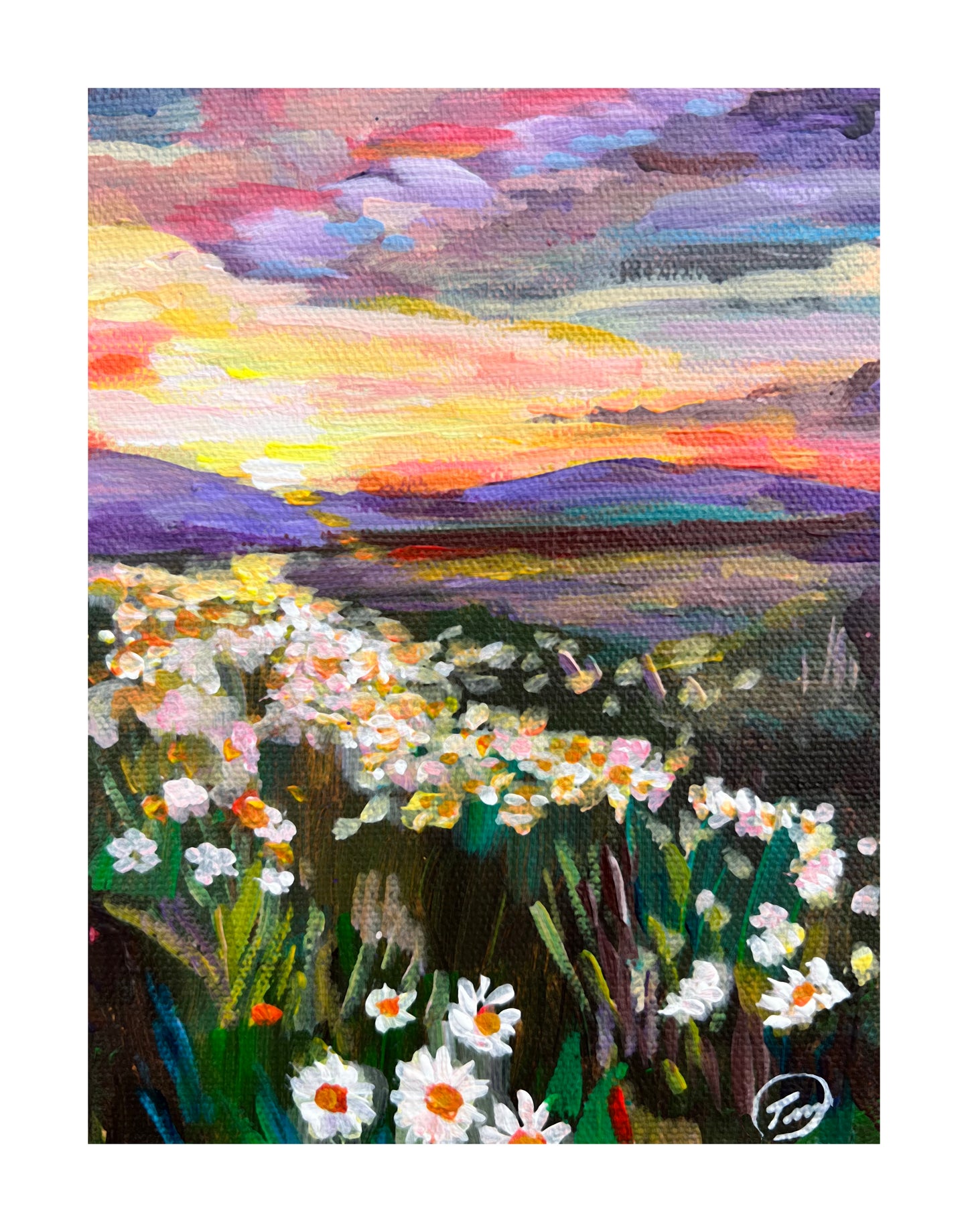 “Daisy Dawn” 11x14 Print