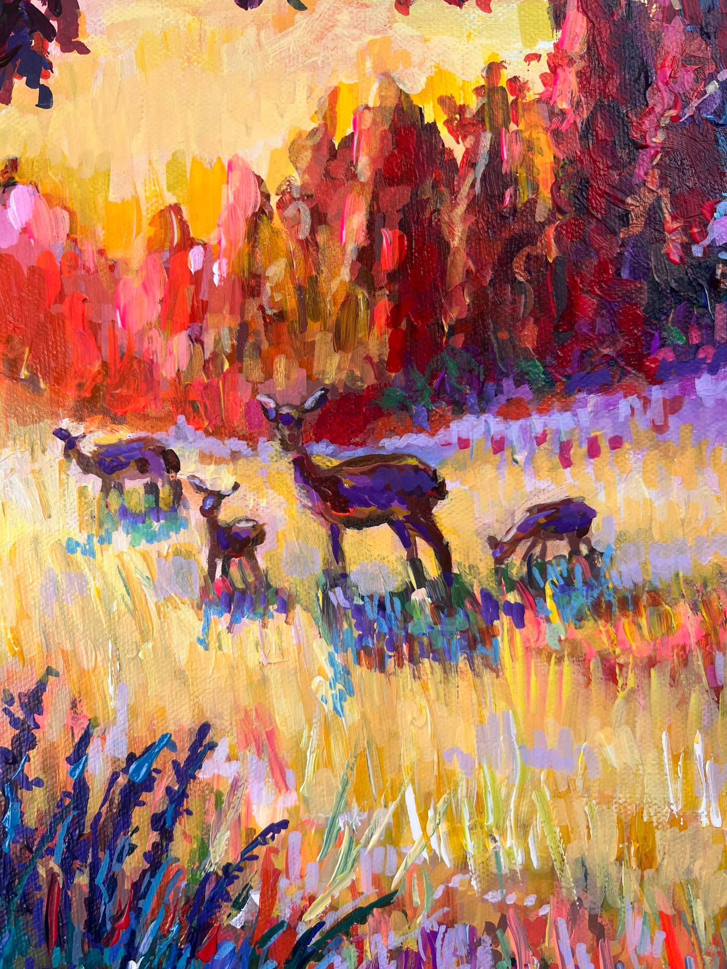 “Gathering Light”