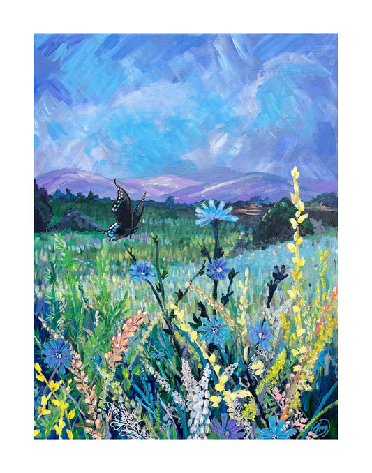 “Chicory Companion” 11x14 Print