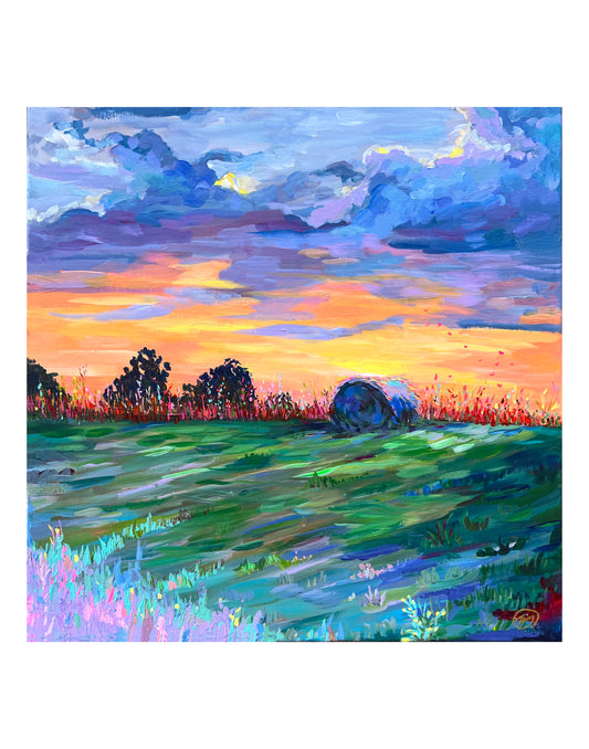 “Funfetti Field” 11x14 Print